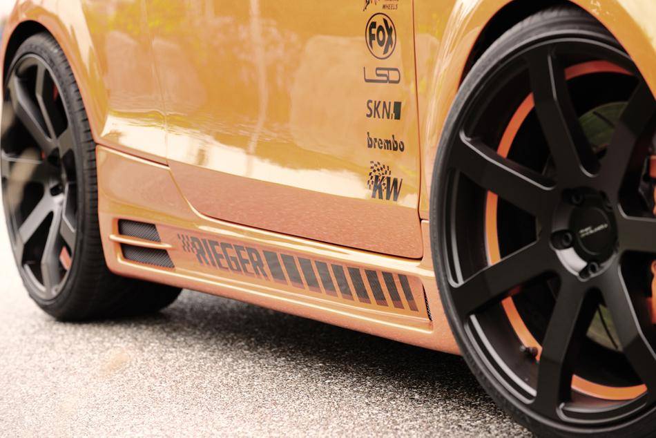 Sottoporta dx Rieger Audi TT 8J incl rivestimento inf