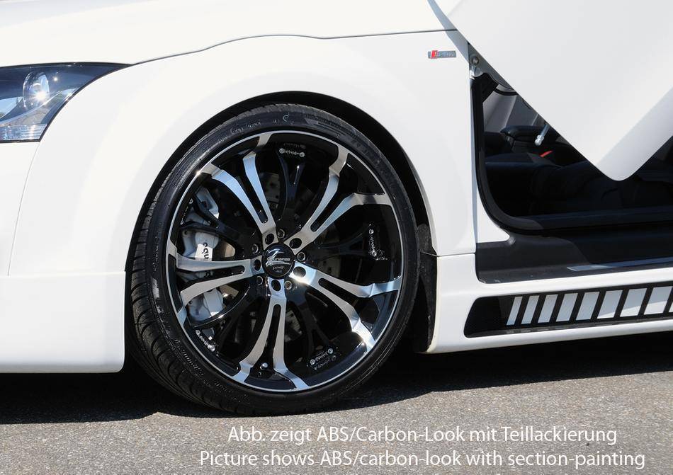Sottoporta dx Rieger Audi TT 8J incl rivestimento inf carbonlook