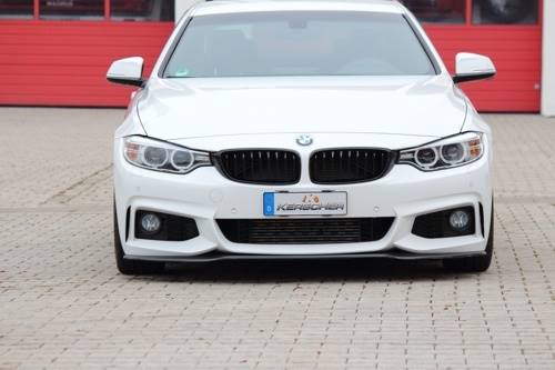 Lama ant carbonio BMW F32/33/36 per paraurti originale M-Technik Per