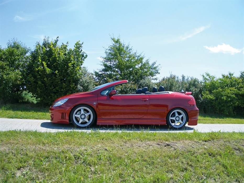 sottoporta sx.Rieger PEUGEOT 307 / CC 3/5-porte