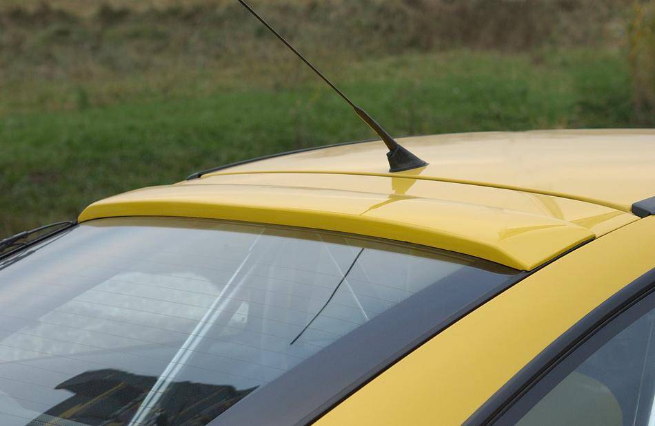 Copertura lunotto Rieger Calibra