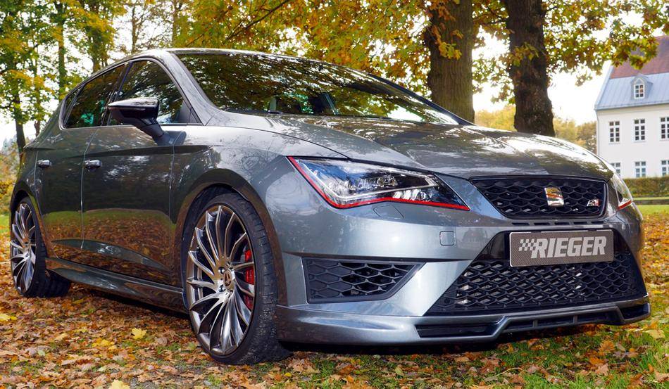 Sottoparaurti ant Rieger Leon 5F solo FR+Cupra+ST fino 12/2016