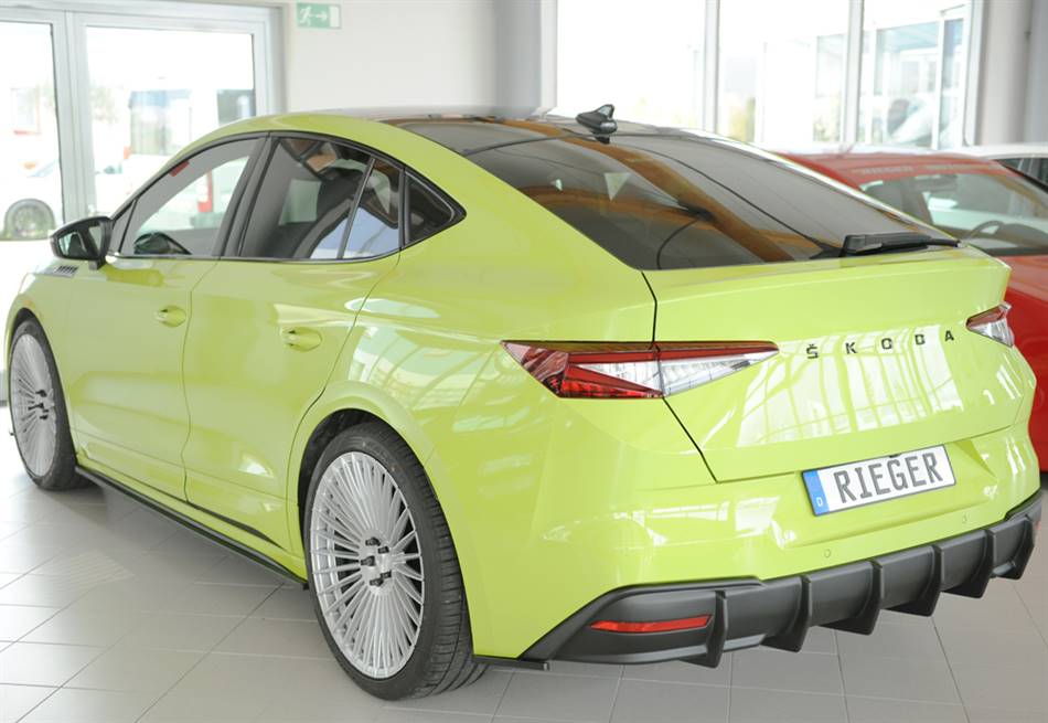 Lama sottoporta SX Rieger per sottop.orig Enyac Sportsline/RS ABS