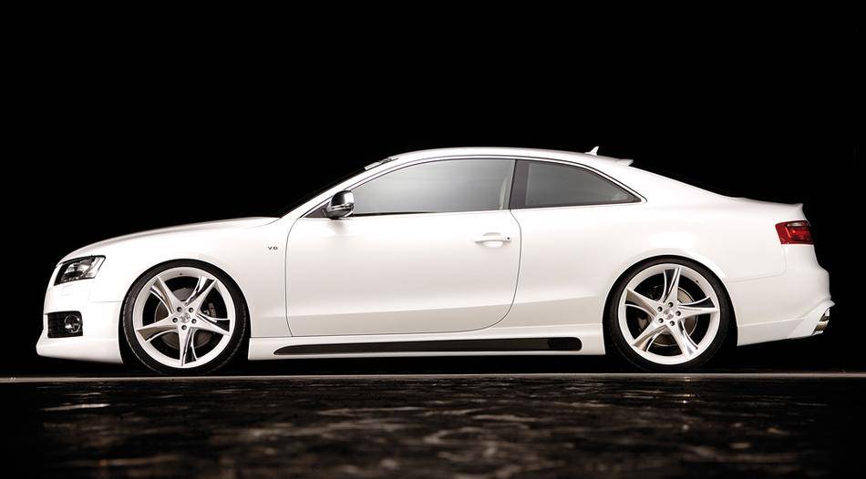 Sottoparaurti Rieger S5+A5 S-Line per Term115x85 carbonlook fino-'11