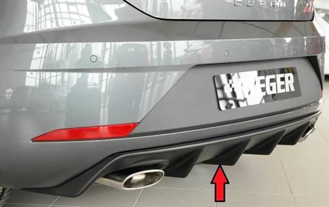 Diffusore Rieger Leon 5F Cupra dal'2017 term.singolo duplex original