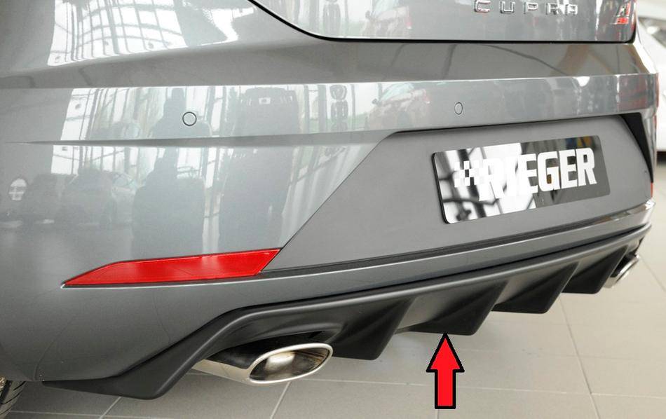 Diffusore Rieger Leon 5F Cupra dal'2017 term.singolo duplex original