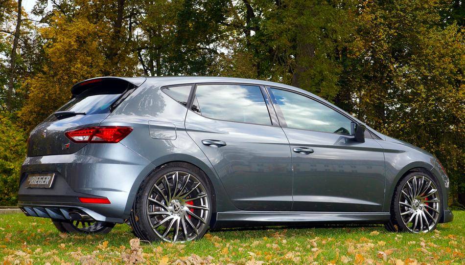 Diffusore Rieger Leon 5F Cupra 3+5porte duplex 1+1x100 fino '12.16