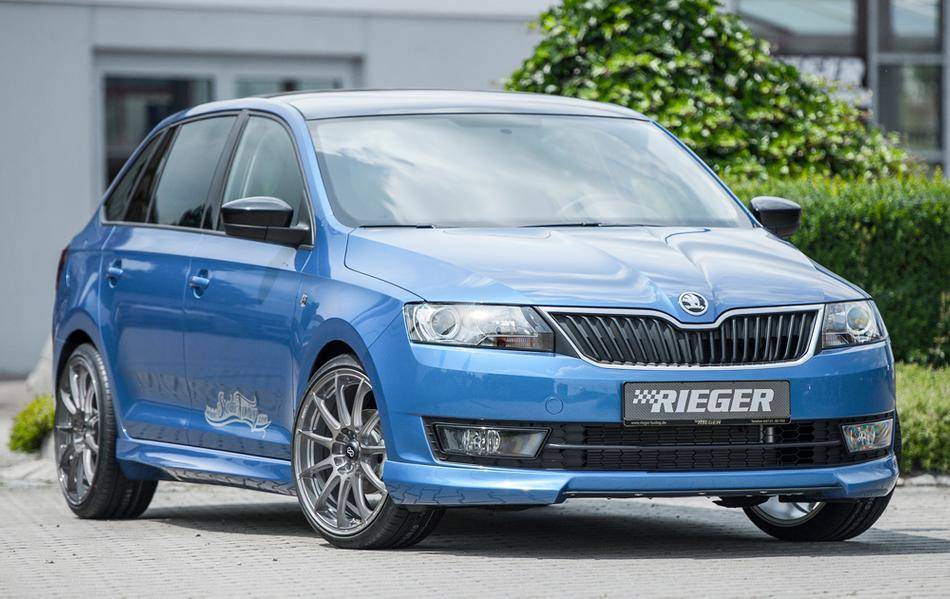 Sottoparaurti ant Rieger Rapid NH